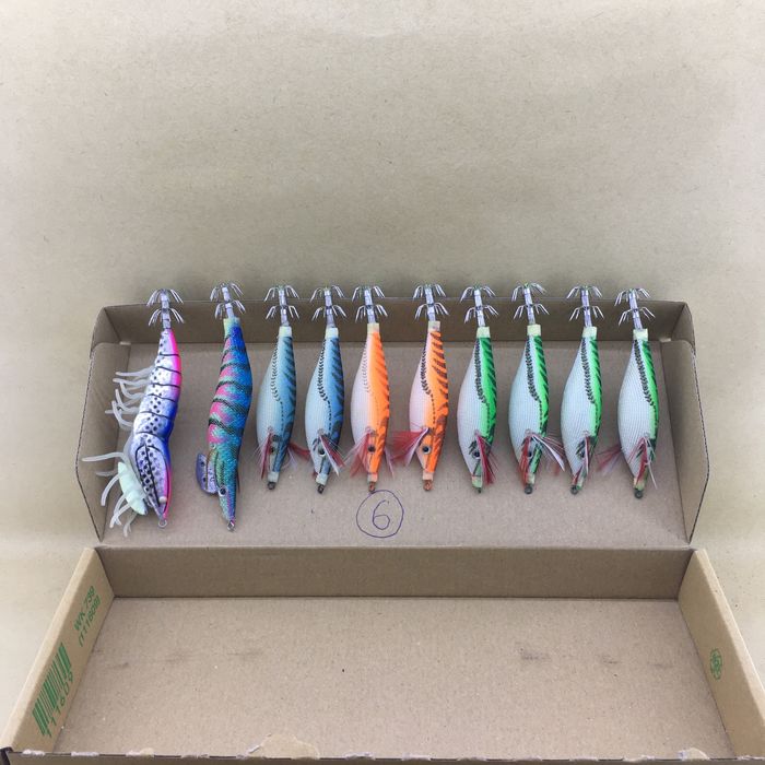 Conjunto de 10 tomeiras para pesca, Lote 6