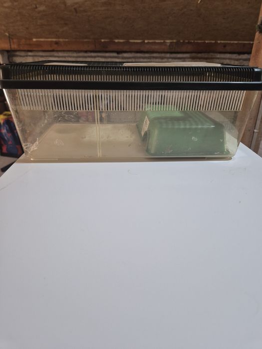 Terrarium dla weza