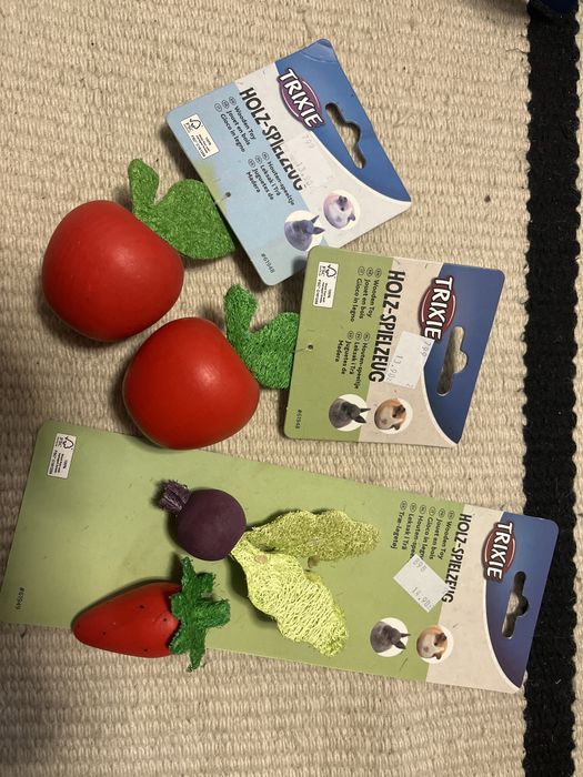 Zabawka dla gryzoni