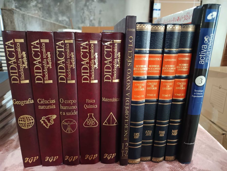 Lote livros diversos em Português