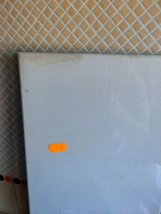 Lot of Painting Canvases64739892552833123
