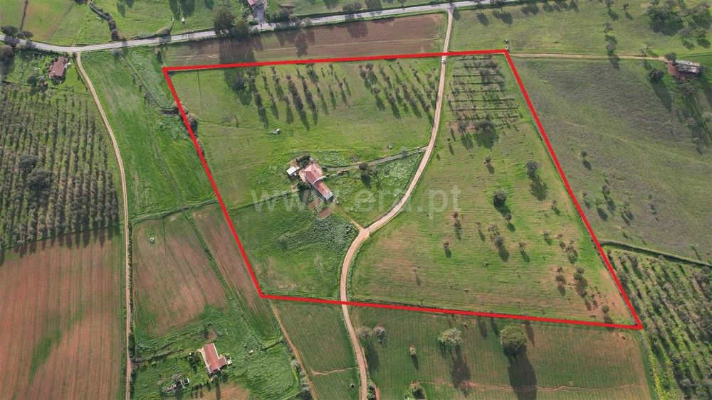 Monte Alentejano - *Oportunidade de Investimento* 2 moradias