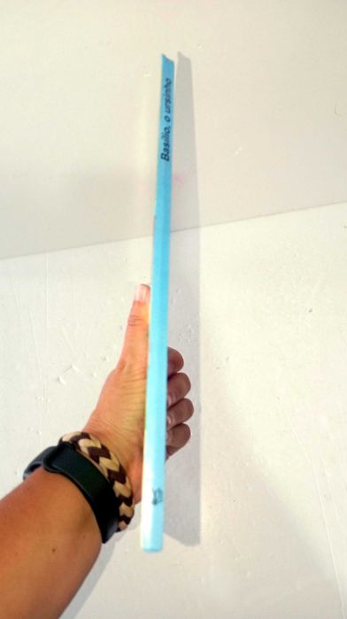 Searching for Words with... Basílio (Pictograms)64739833819650122