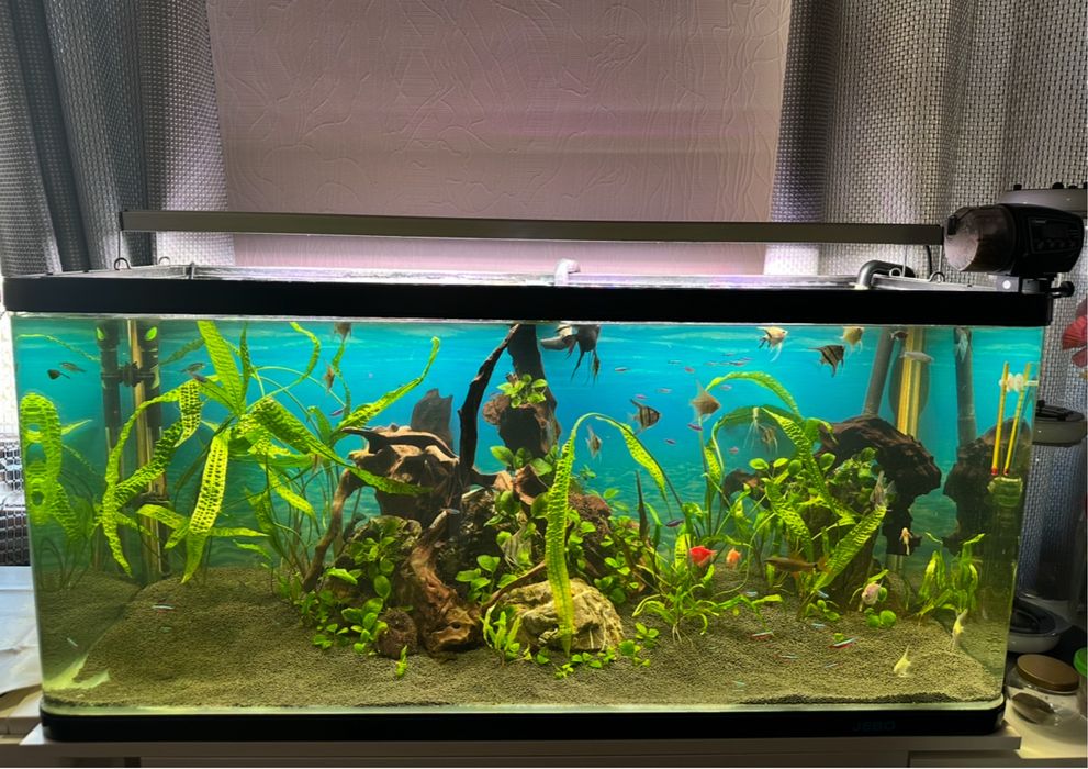 Акваріумний світильник Rival