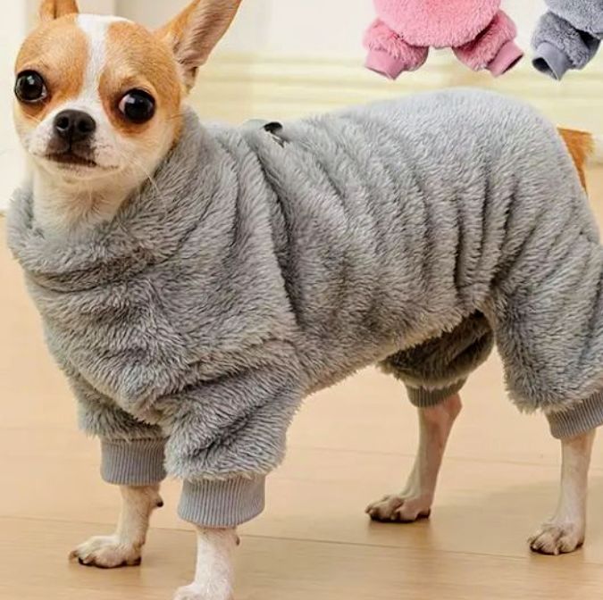 Одяг для собак малих порід