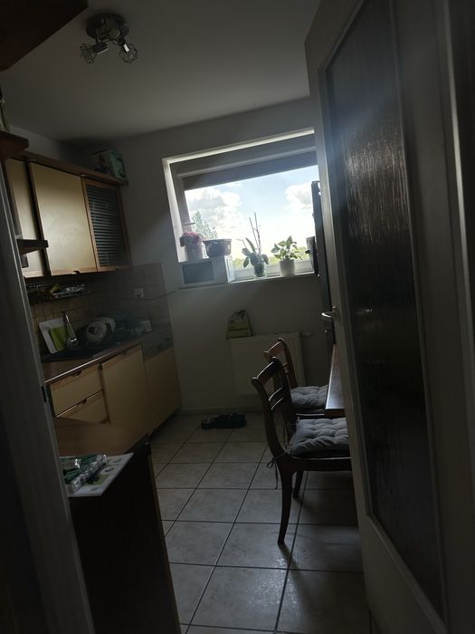 Mieszkanie do wynajecia na Bielanach - Widok 5
