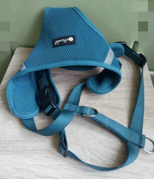 Плаття і безрукавка на собачку,сумка-переноска