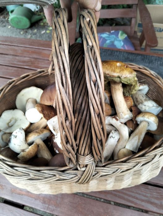 Borowik szlachetny suszone grzyby  prawdziwek 300 gram