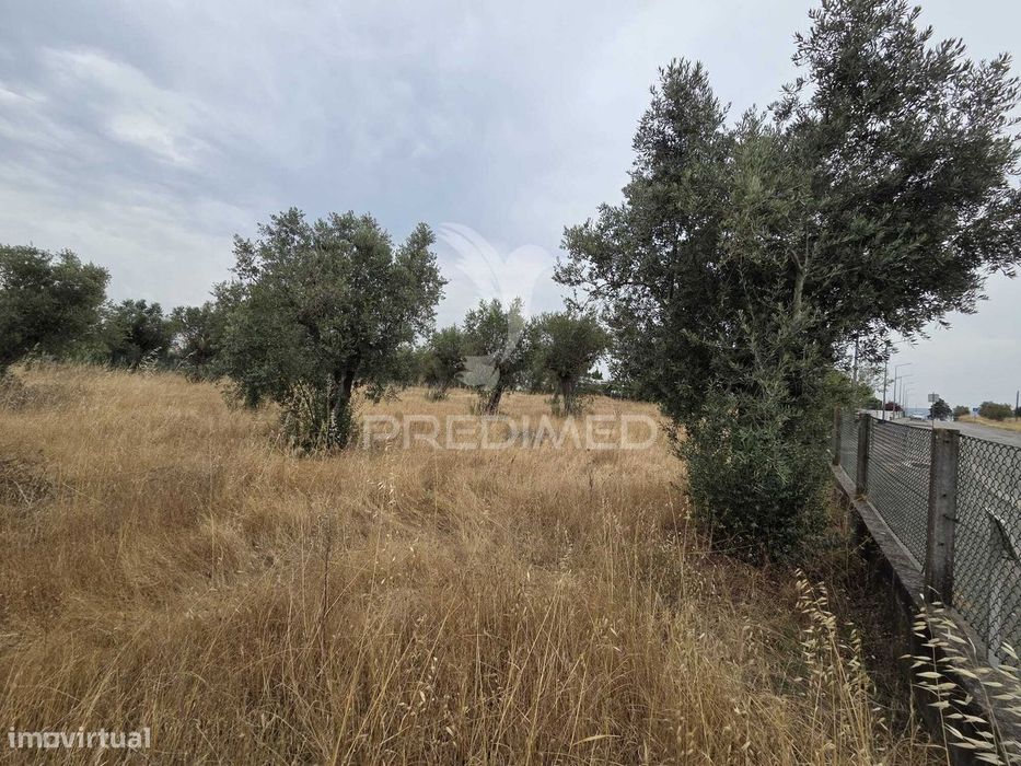 Lote de Terreno