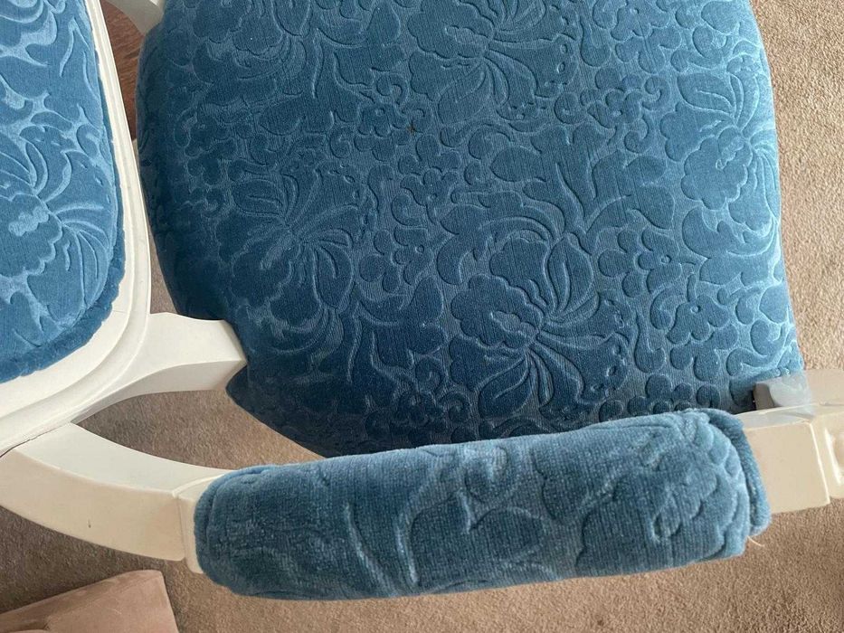 Par de cadeirões de braços medalhão estilo Luís XVI