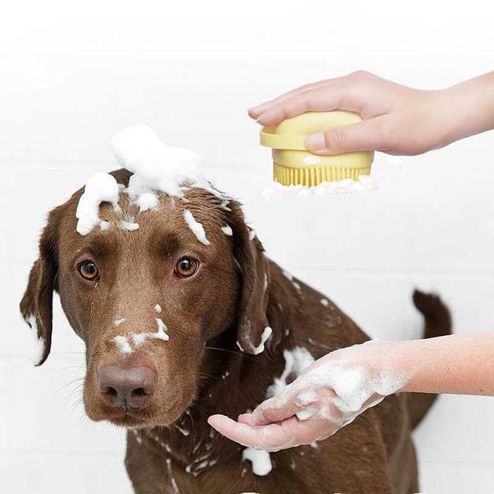 Escova de Massagem/Banho para Cães NOVO