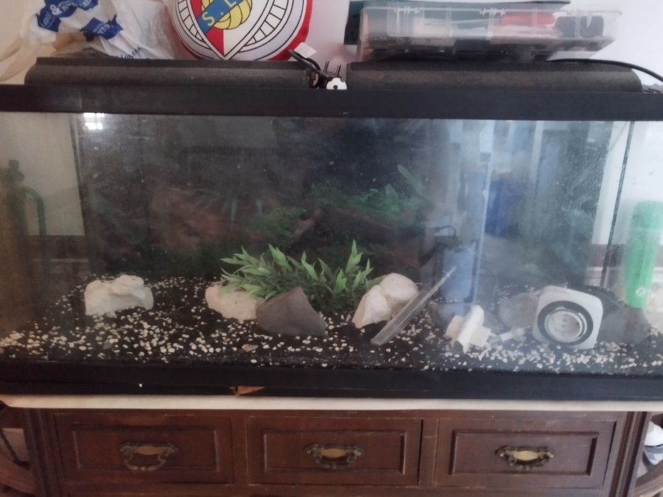 Aquario para peixes de água quente.