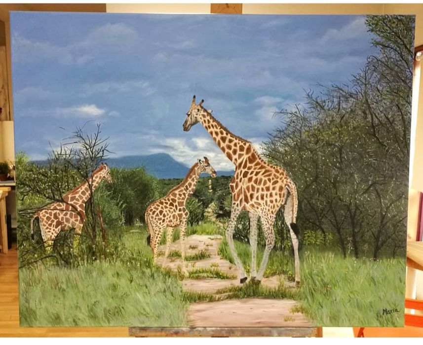 Quadros tema Animais