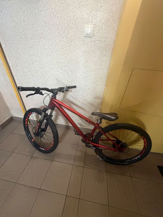 Kellys whip 70 2016