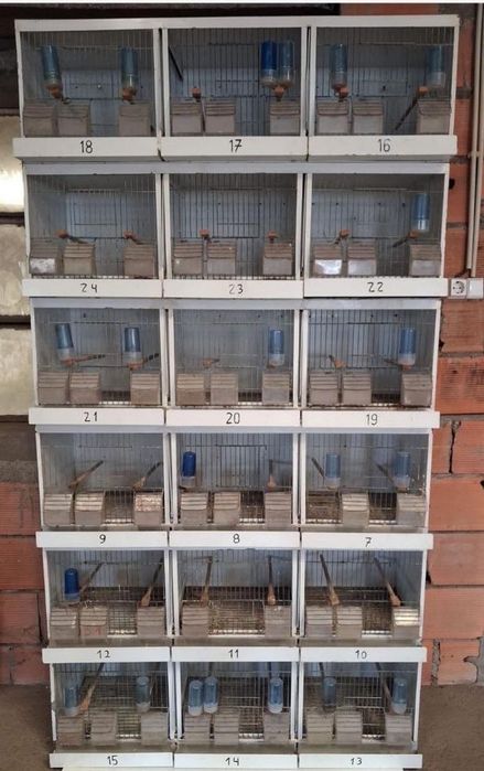 Vendo Gaiolas para passaros