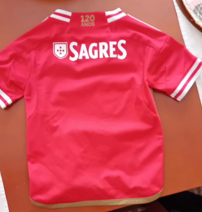 Camisola e calções Benfica oficial