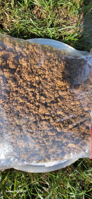 Propolis/ Kit Pszczeli  260zl za kg