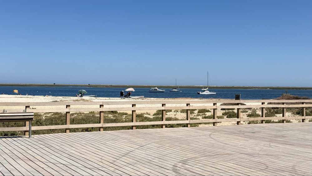 Terreno Rural com Potencial em Olhão