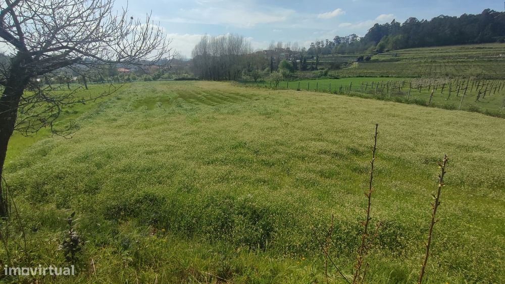 Terreno em Fiscal, Amares