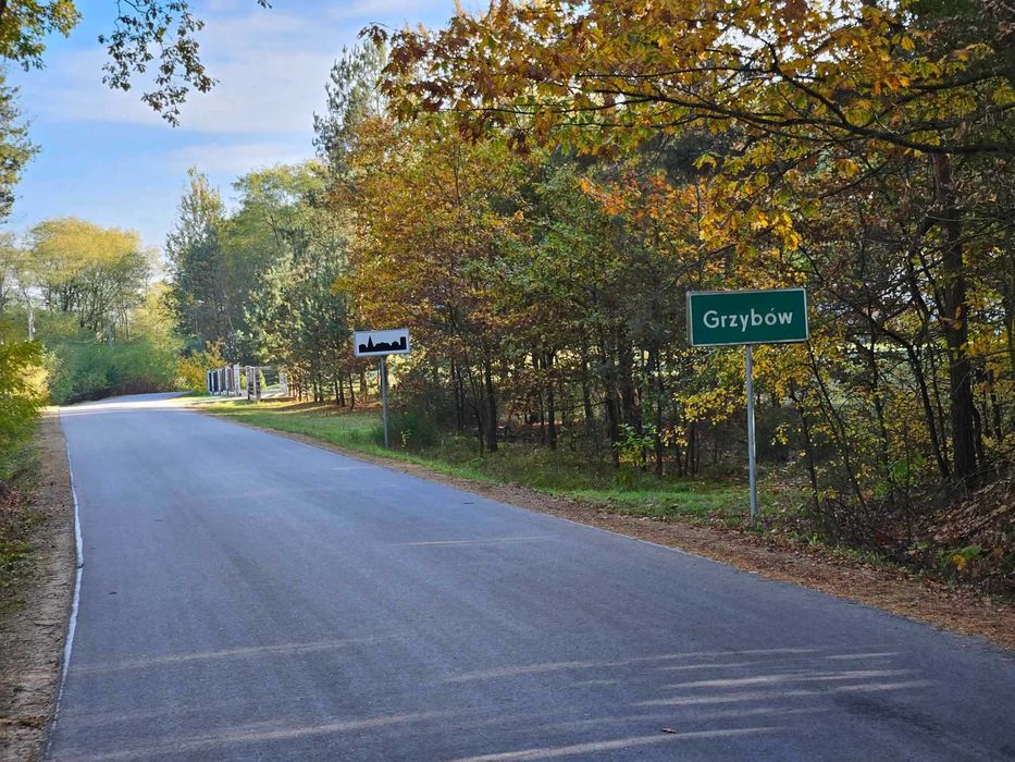 Cisza, las i przestrzeń  działka w Grzybowie k. Mielca