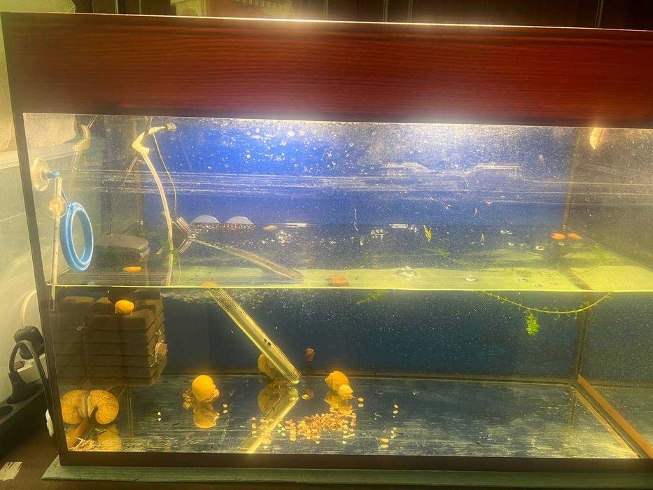 Акваріум, грунт, обладнання