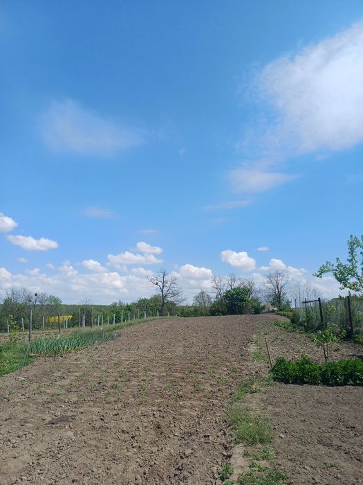 Продам будинок с.Северинівка