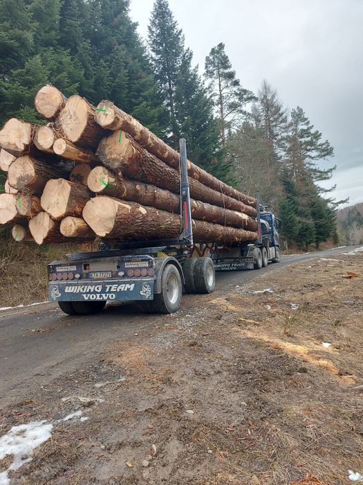 Drewno Tartaczne w Klocu Jodła Sosna Okazja