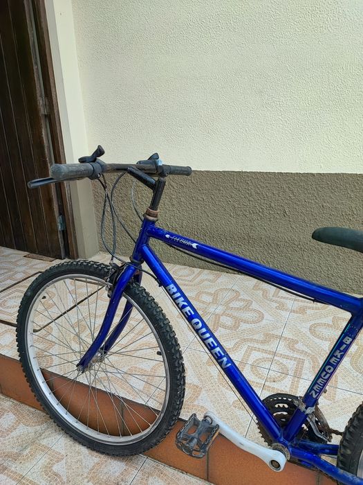 Bicicleta estilo vintege (Bike Queen, Flecha)