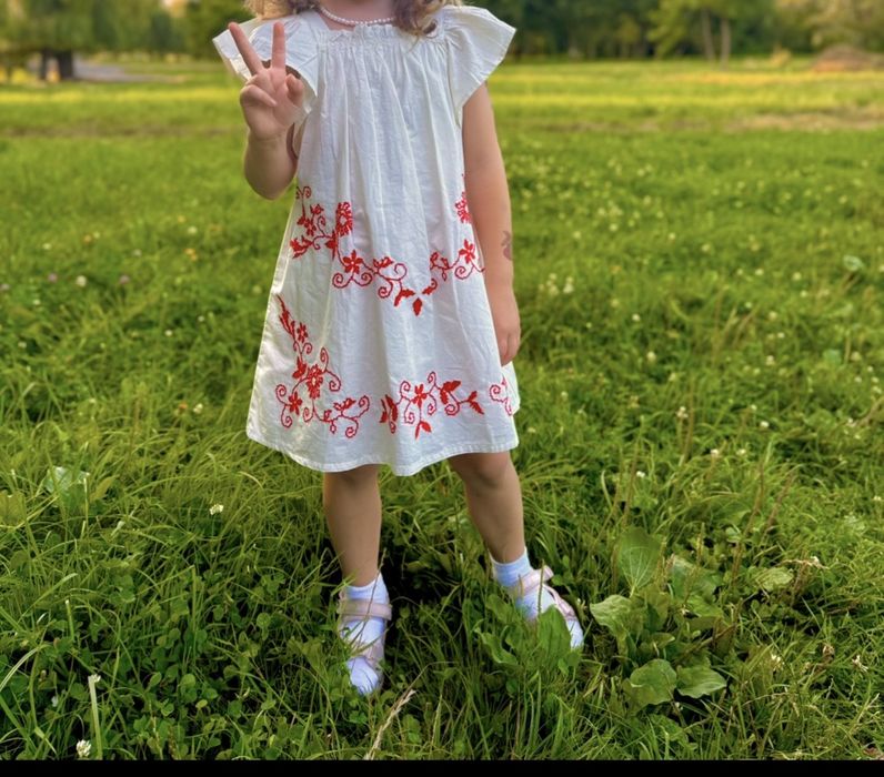 Вишите плаття Zara