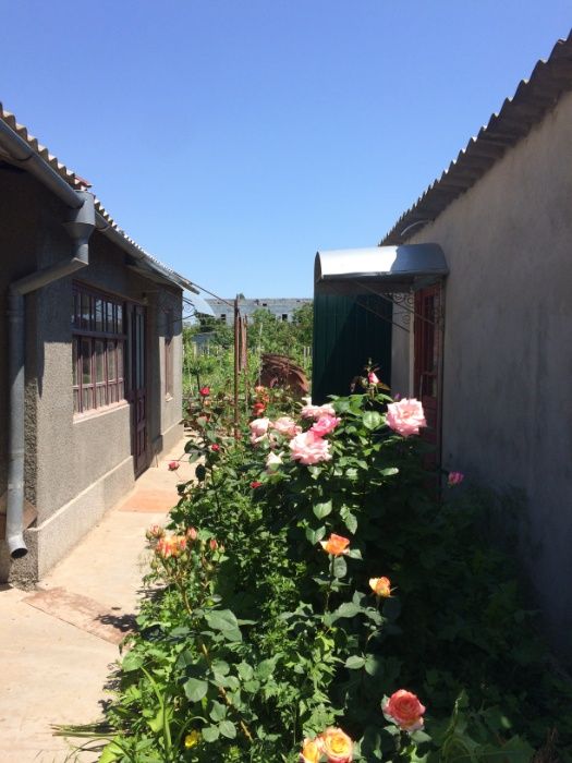 Продам дом (маг.Калинка) с садом, виноградником, огородом 10 соток