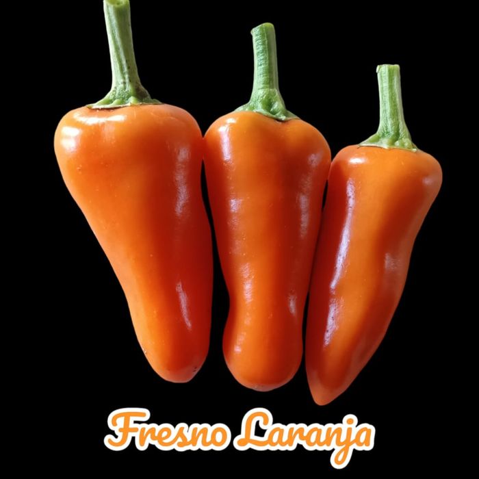 Vendo sementes de malaguetas raras muitas variedades