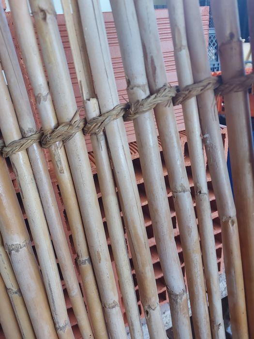 Esteira canas antiga