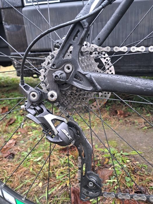 Rower White, hybryda.