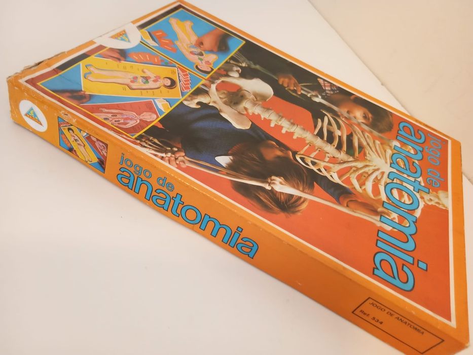 Jogo de Anatomia, antigo 1981,  Majora
