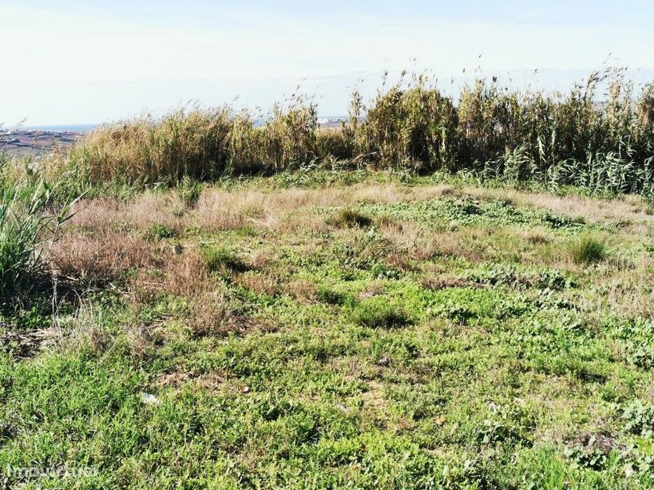 Terreno com amplas vistas para um projeto turístico!