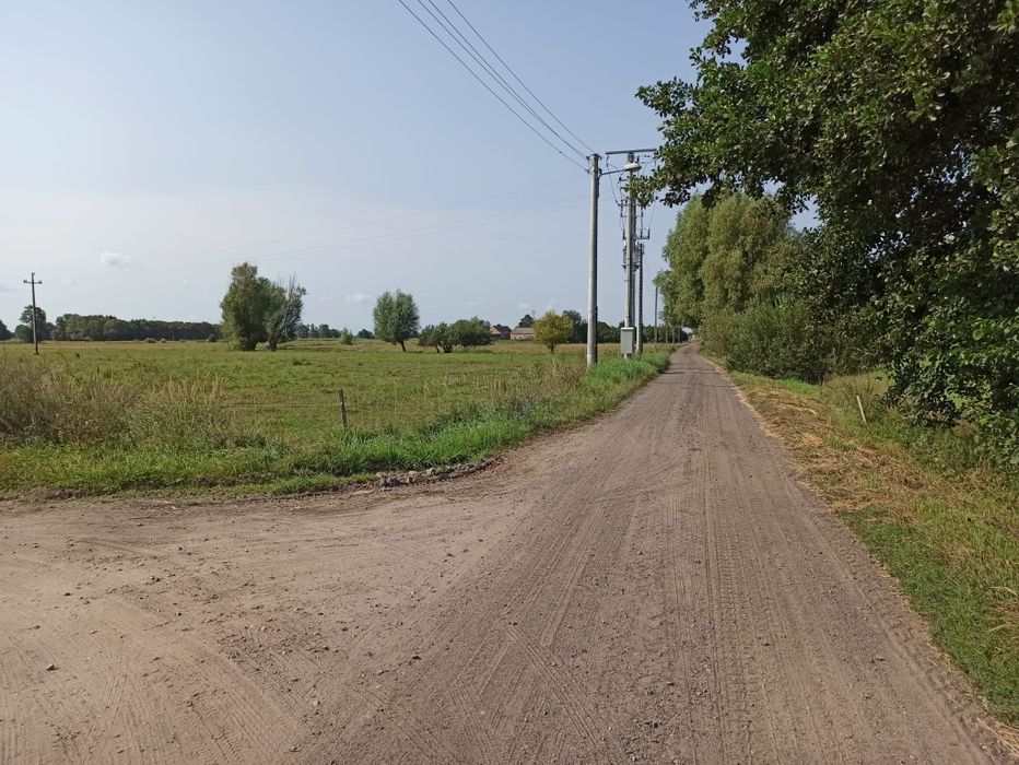 Zdjęcie 4