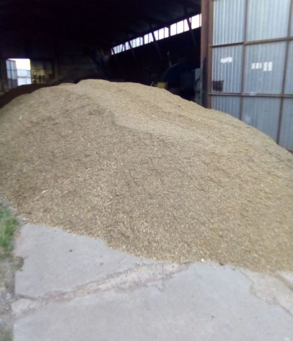 Продам  Сою опт от 20 тонн