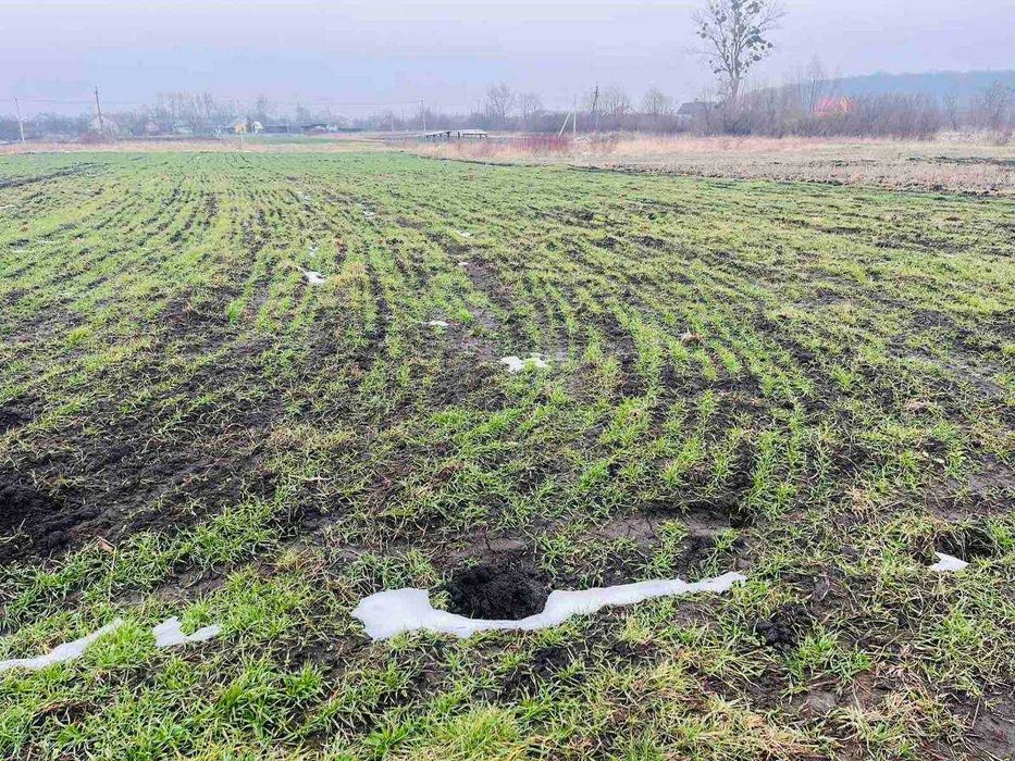 Продаж Земельної Ділянки с. Чижиків