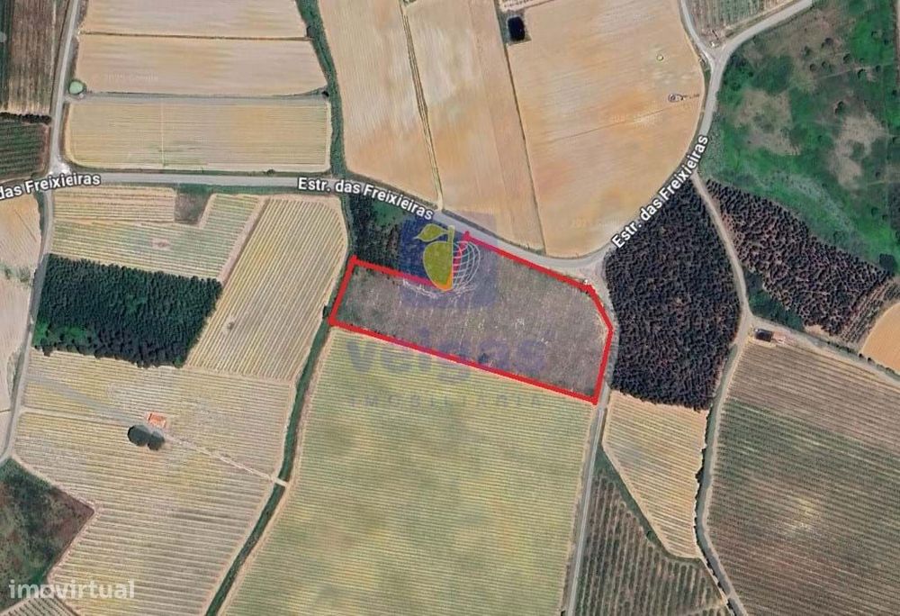 Terreno com uma área generosa de 13.840m2 com plantação de eucaliptos