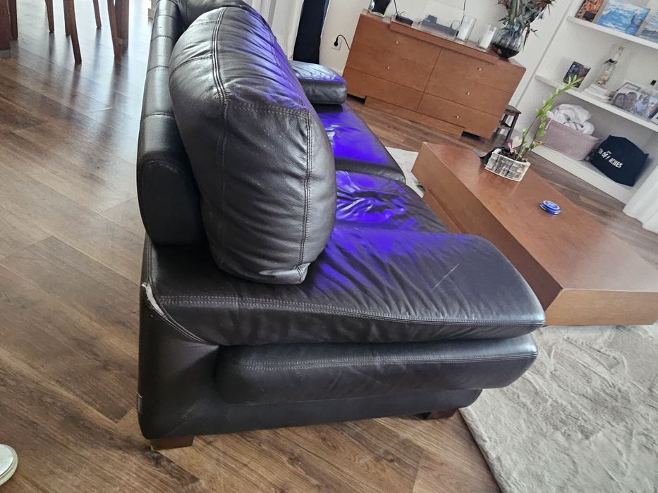 Sofas de pele com apoio