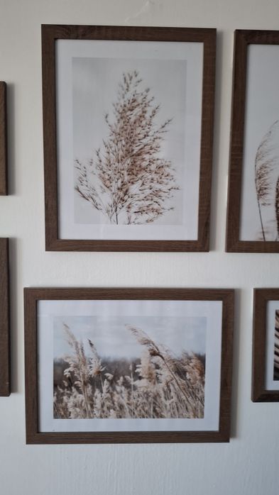 Zestaw 8 obrazów w stylu boho