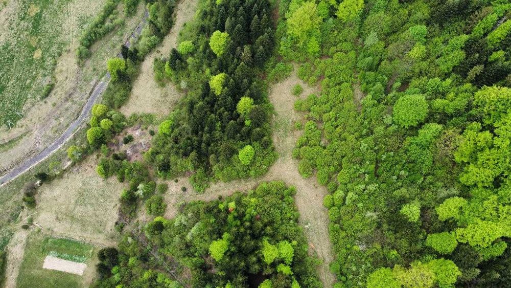 Ідеальна локація для успішного відпочинкового бізнесу...