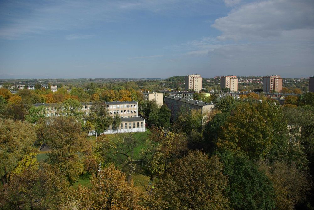 Zdjęcie 8