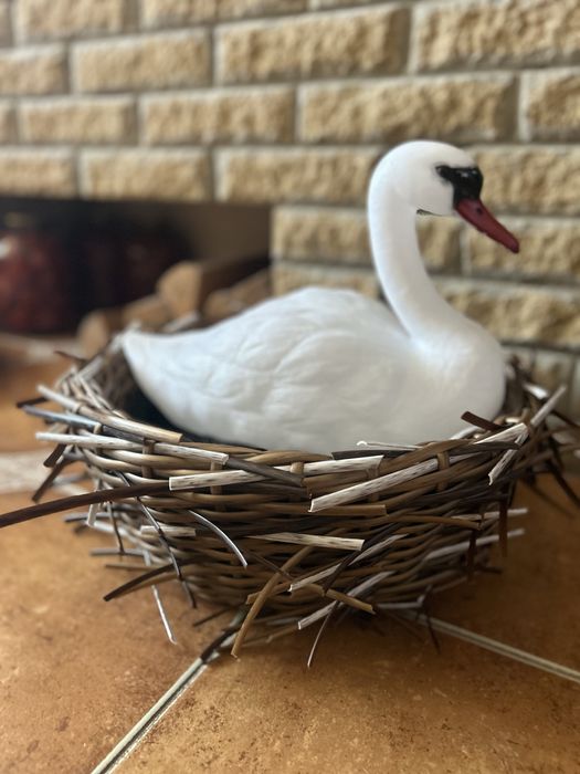Велике гніздо з лебедем
