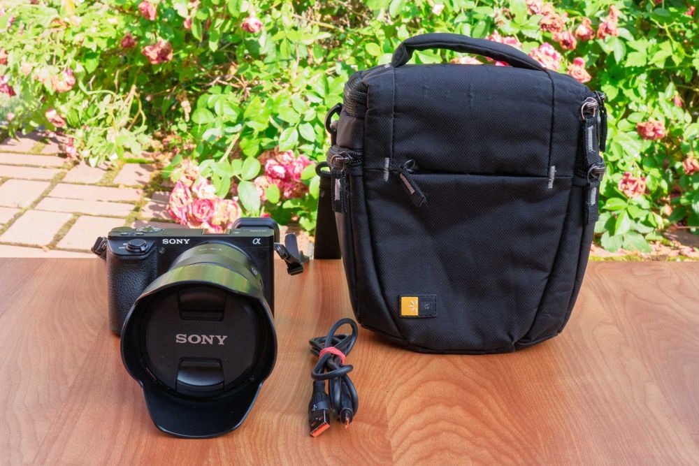 Sony A6500 + Sony E 18-105mm f/4 G OSS