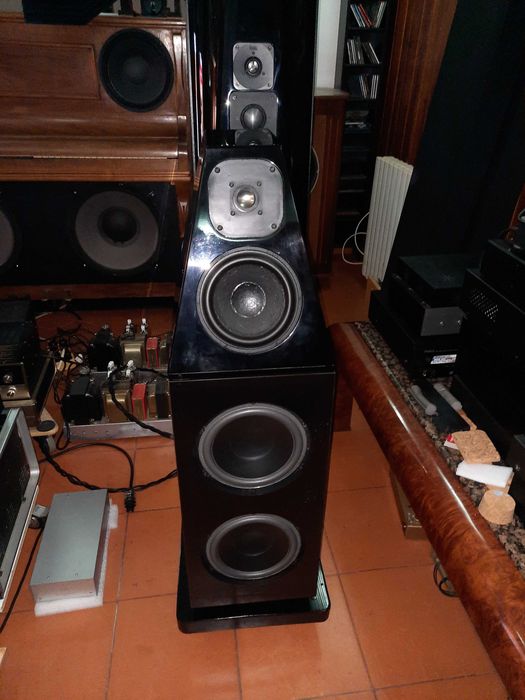 Wilson Audio WATT/PUPPY  5.1 .