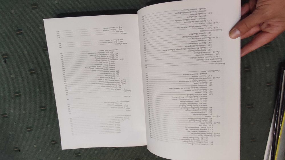 Livro Genealógico das Familias desta Cidade de Portalegre