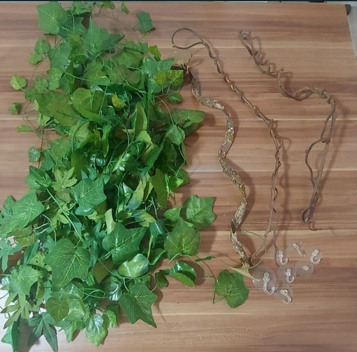 Terrário + Acessórios