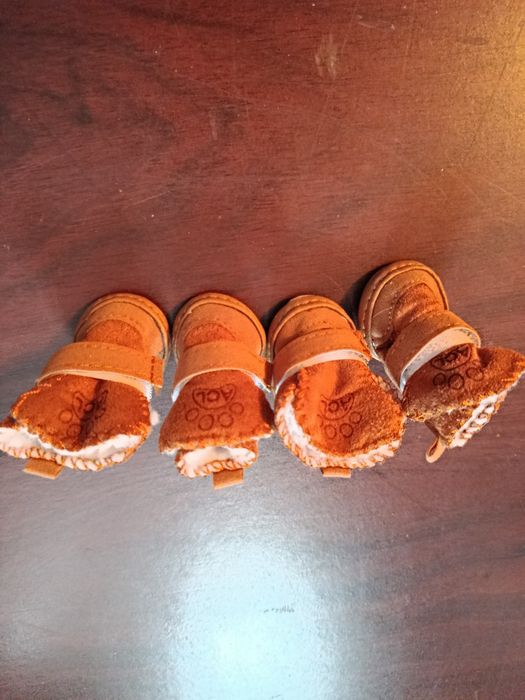 Сапожки для маленькой собачки