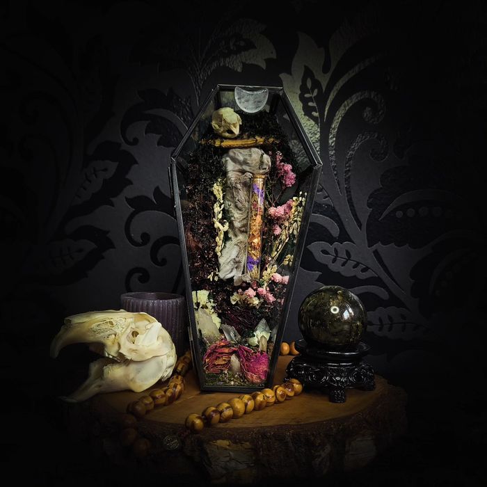 Mumia króliczka szklana trumna taksydermia